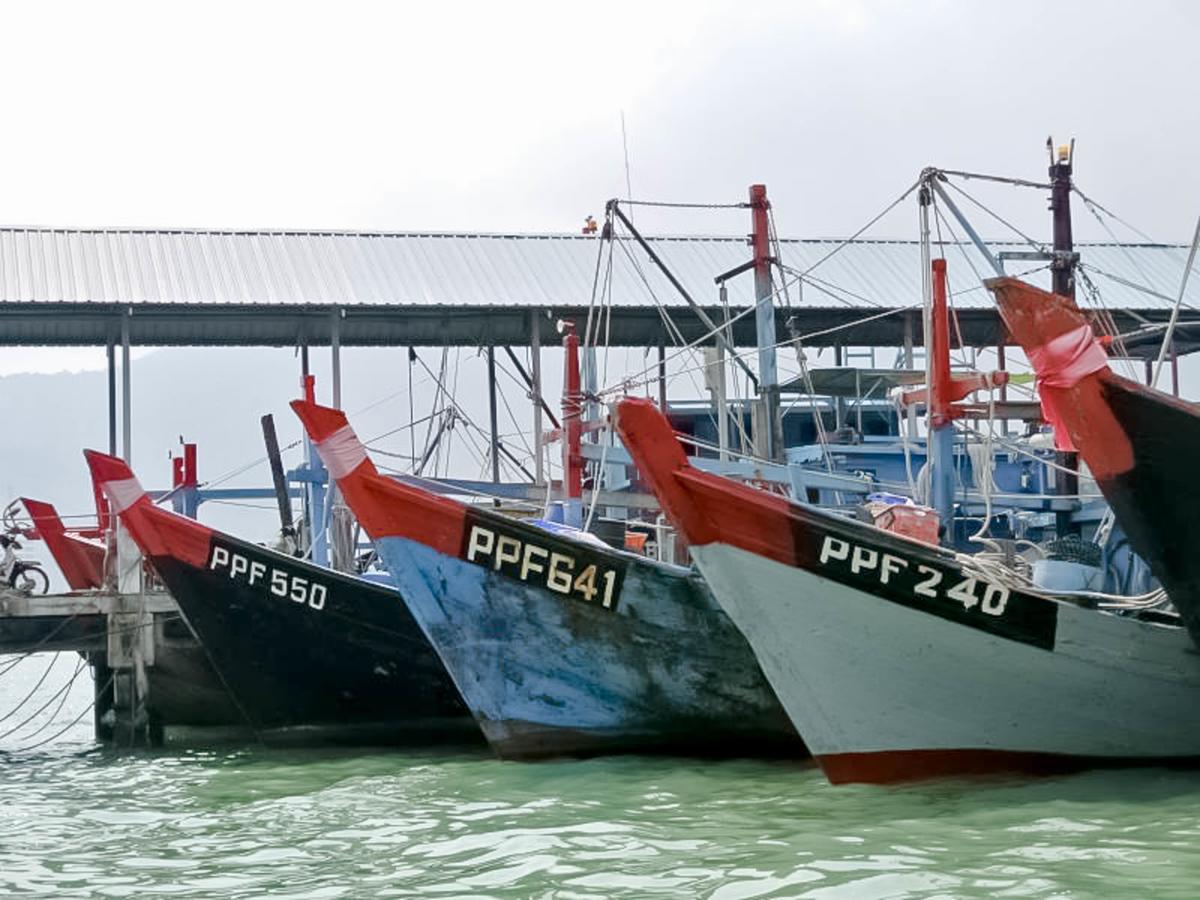 Hotel & Chalet Sportfishing Pnk Teluk Bahang Ngoại thất bức ảnh